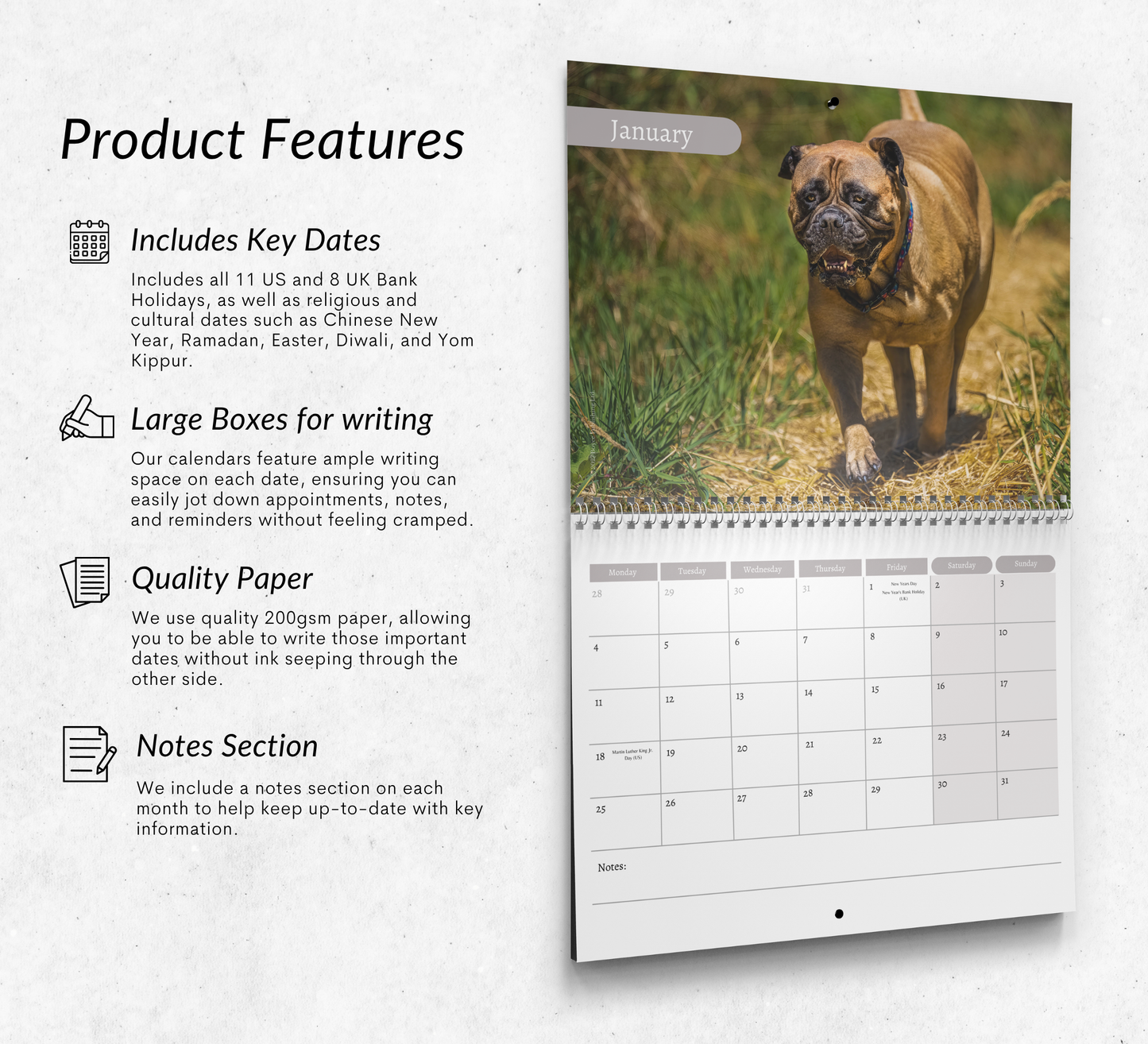 Bullmastiff Calendar 2027