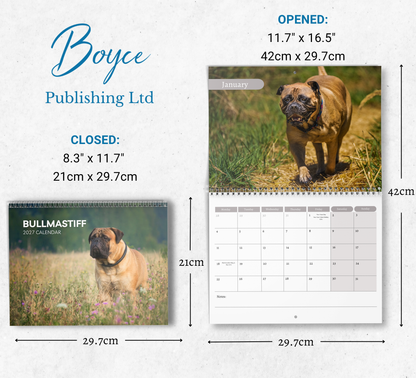 Bullmastiff Calendar 2027