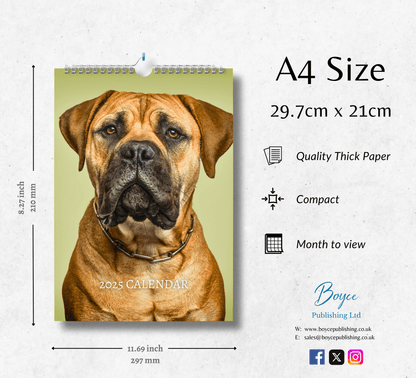 Bullmastiff Calendar 2025