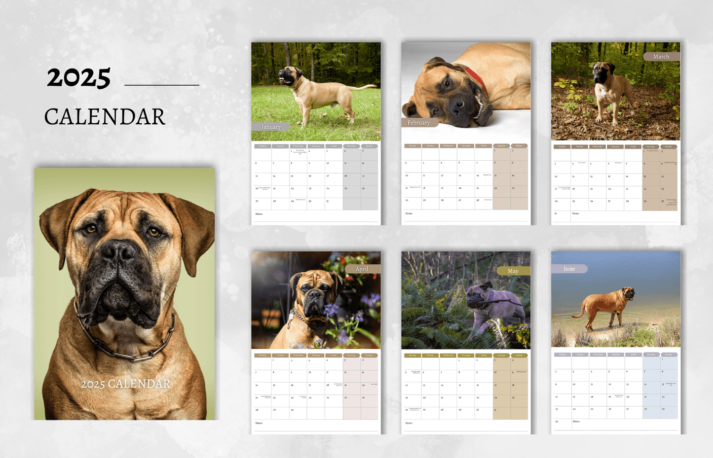 Bullmastiff Calendar 2025