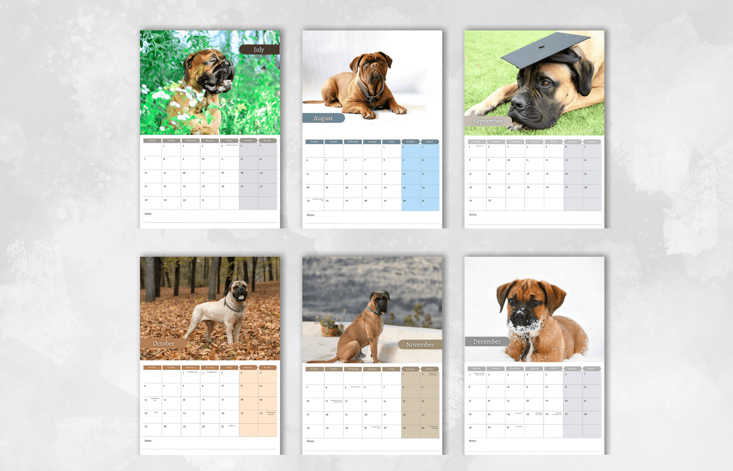 Bullmastiff Calendar 2025