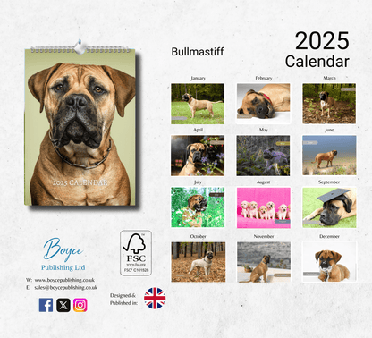 Bullmastiff Calendar 2025