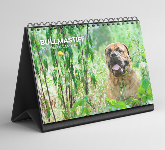 Bullmastiff Desk Calendar 2026-2027