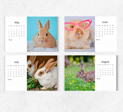 Bunnies Desk Calendar 2026-2027