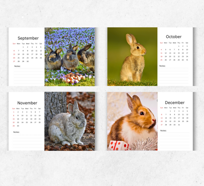 Bunnies Desk Calendar 2026-2027