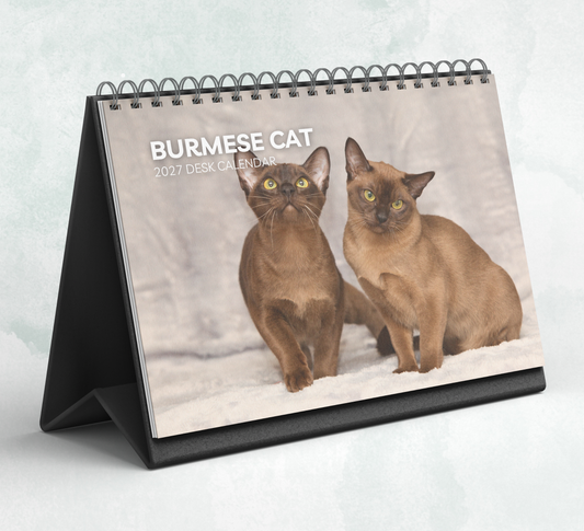 Burmese Cat Desk Calendar 2027-2028