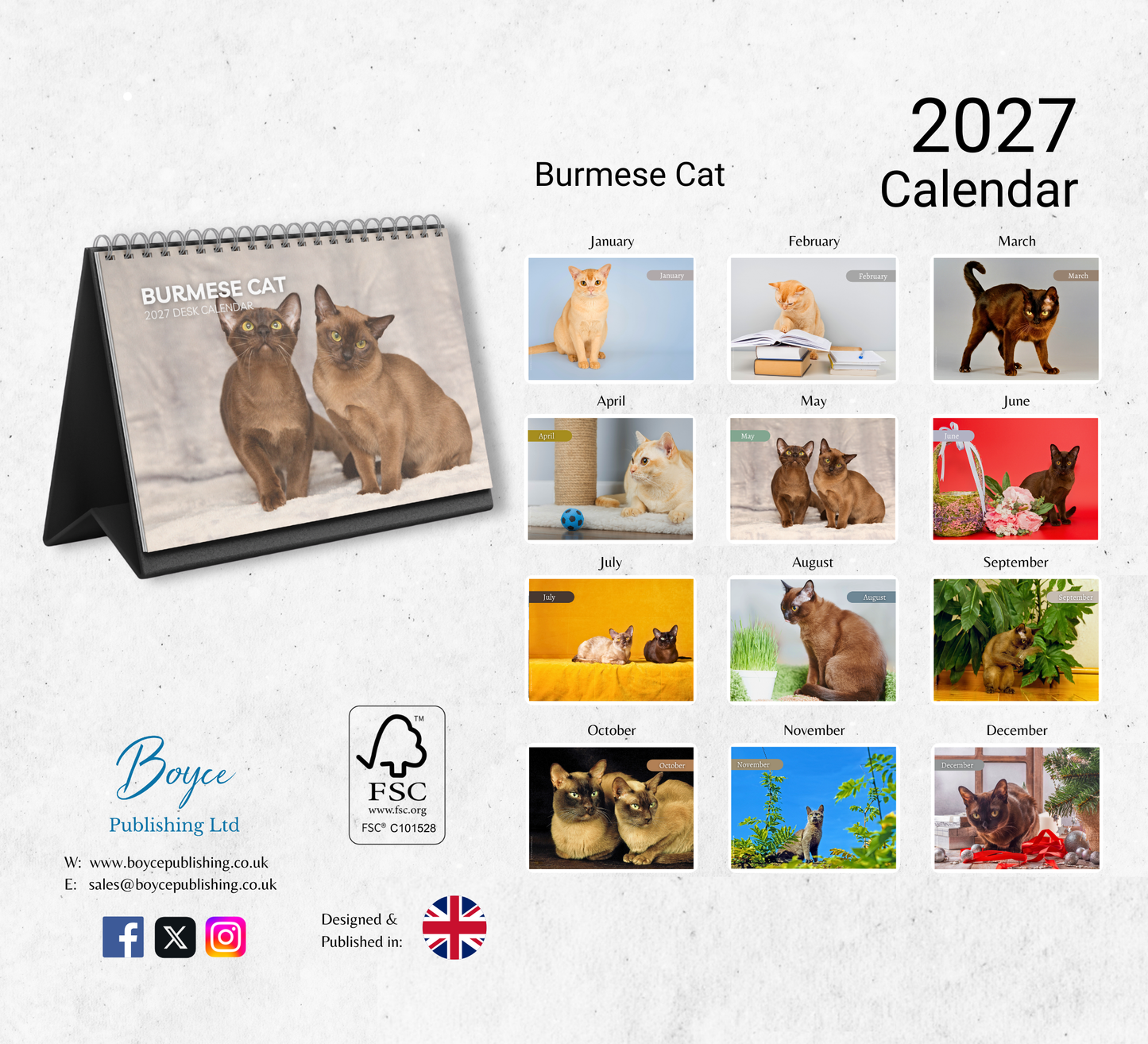 Burmese Cat Desk Calendar 2027-2028