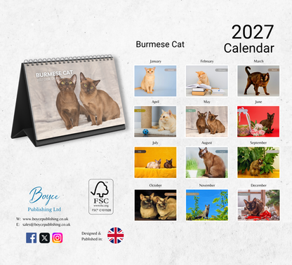 Burmese Cat Desk Calendar 2027-2028