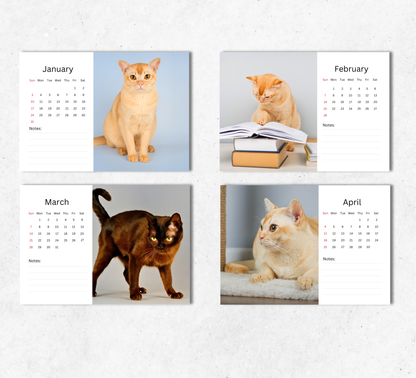 Burmese Cat Desk Calendar 2027-2028