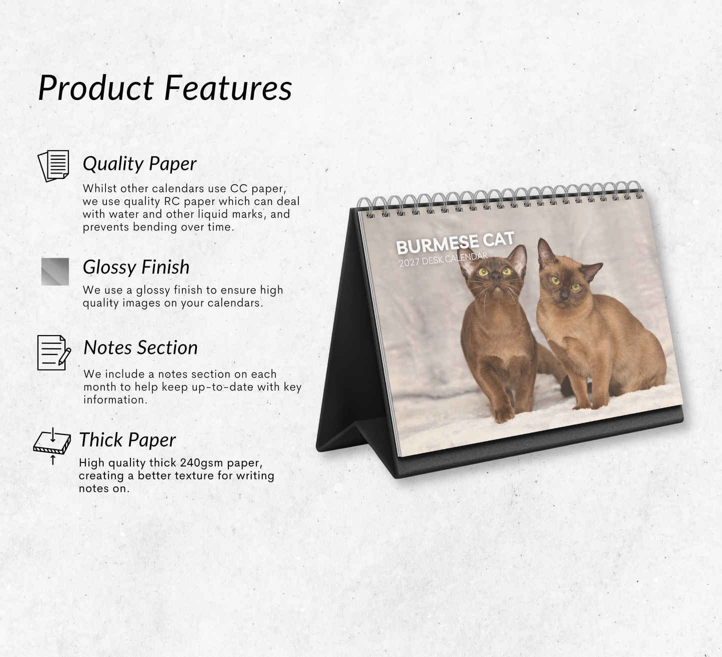 Burmese Cat Desk Calendar 2027-2028