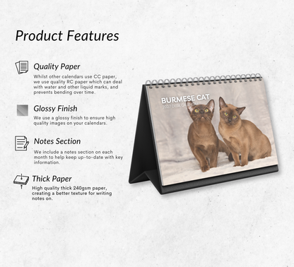 Burmese Cat Desk Calendar 2027-2028