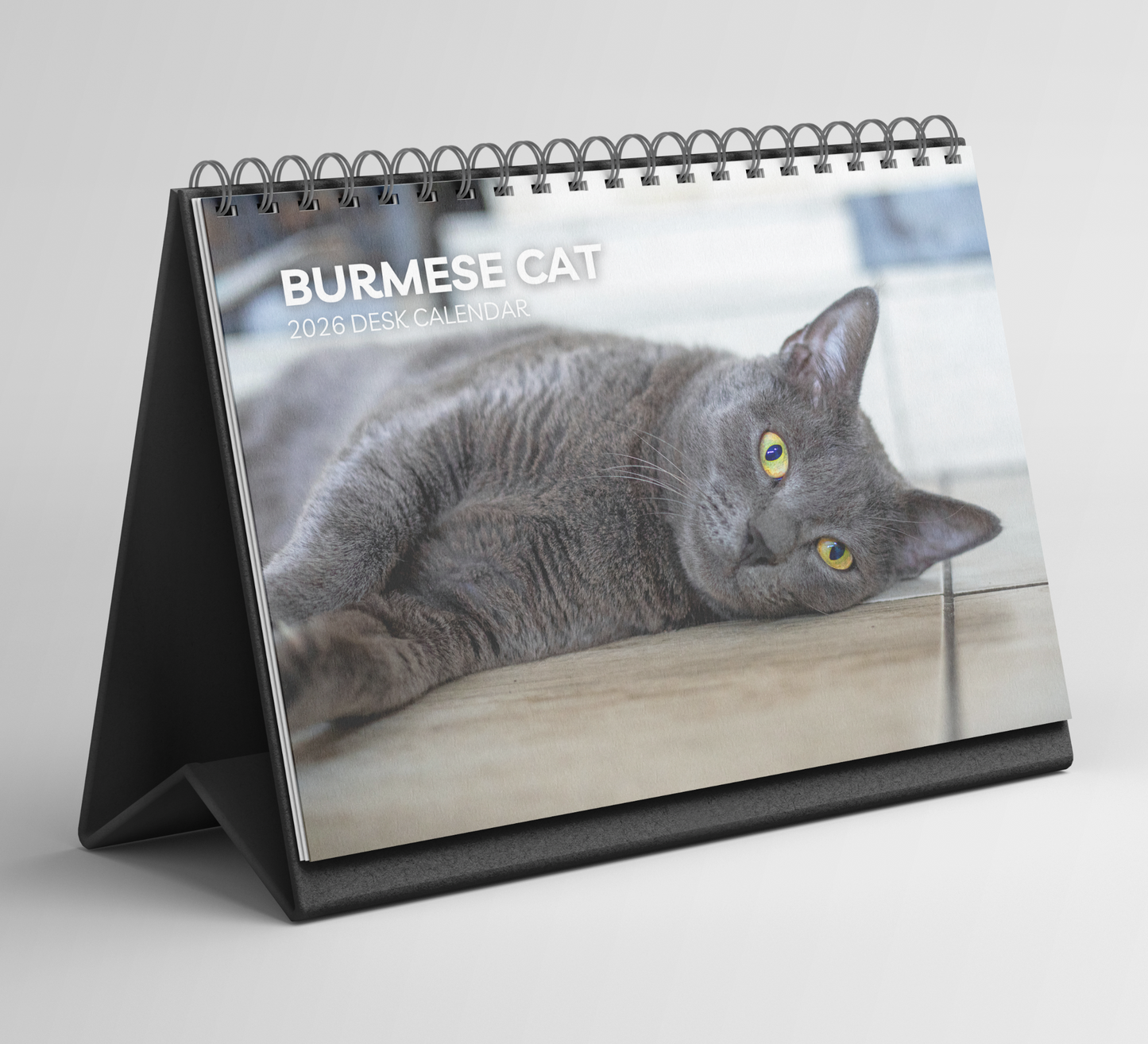 Burmese Cat Desk Calendar 2026-2027