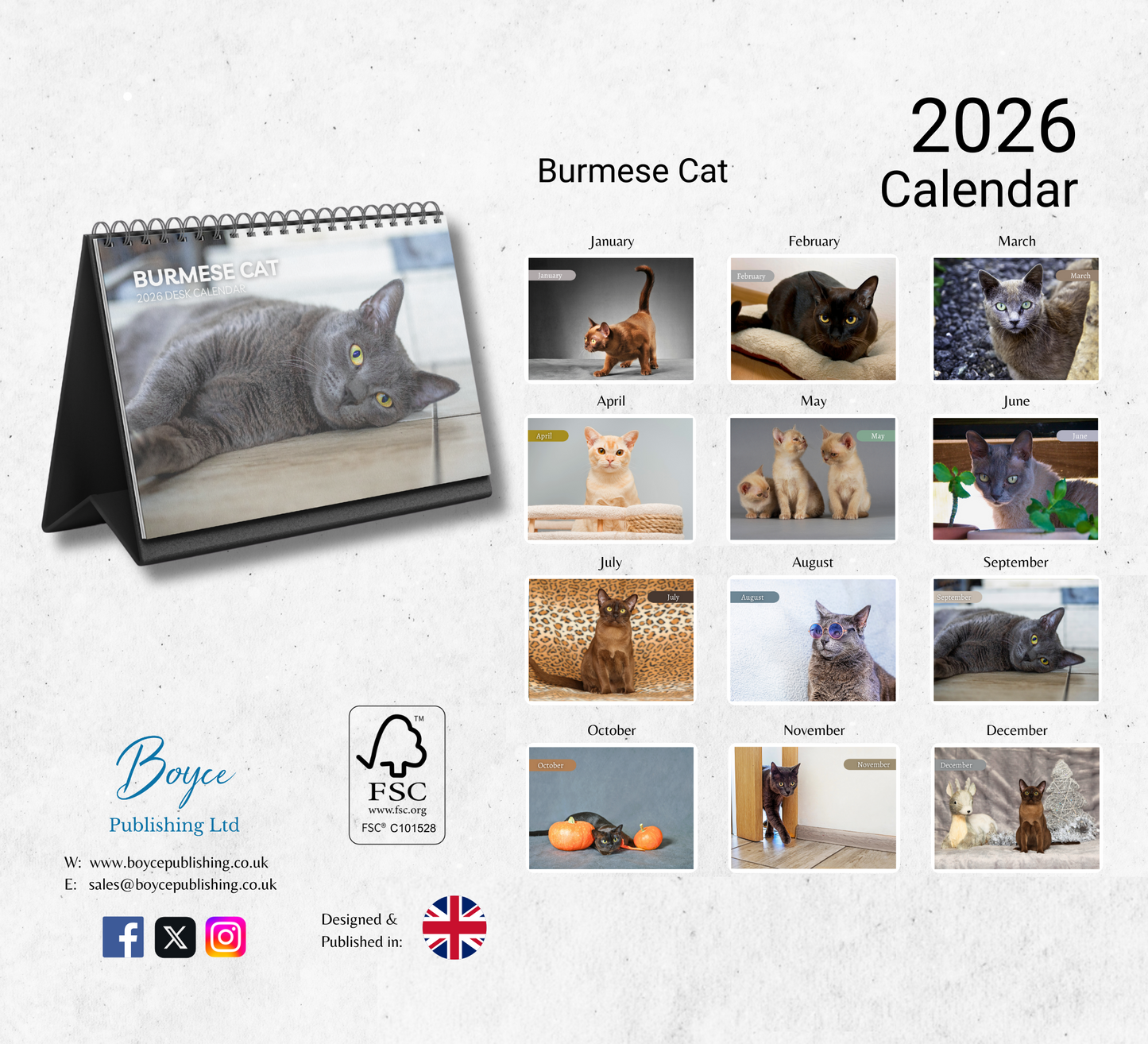 Burmese Cat Desk Calendar 2026-2027