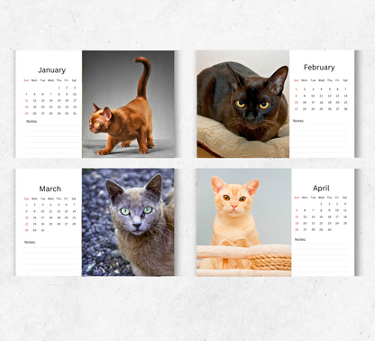 Burmese Cat Desk Calendar 2026-2027