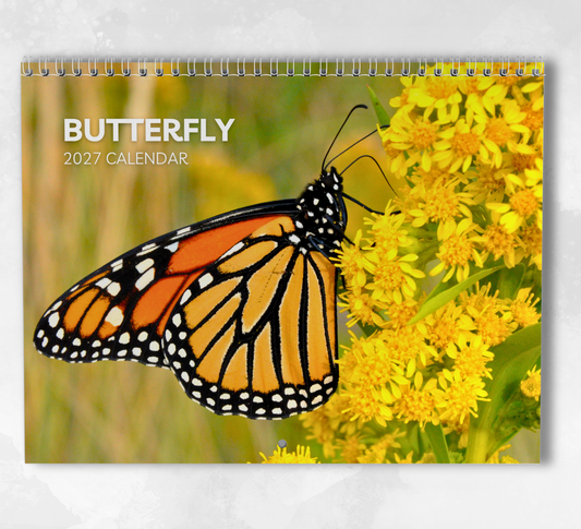 Butterfly Calendar 2027