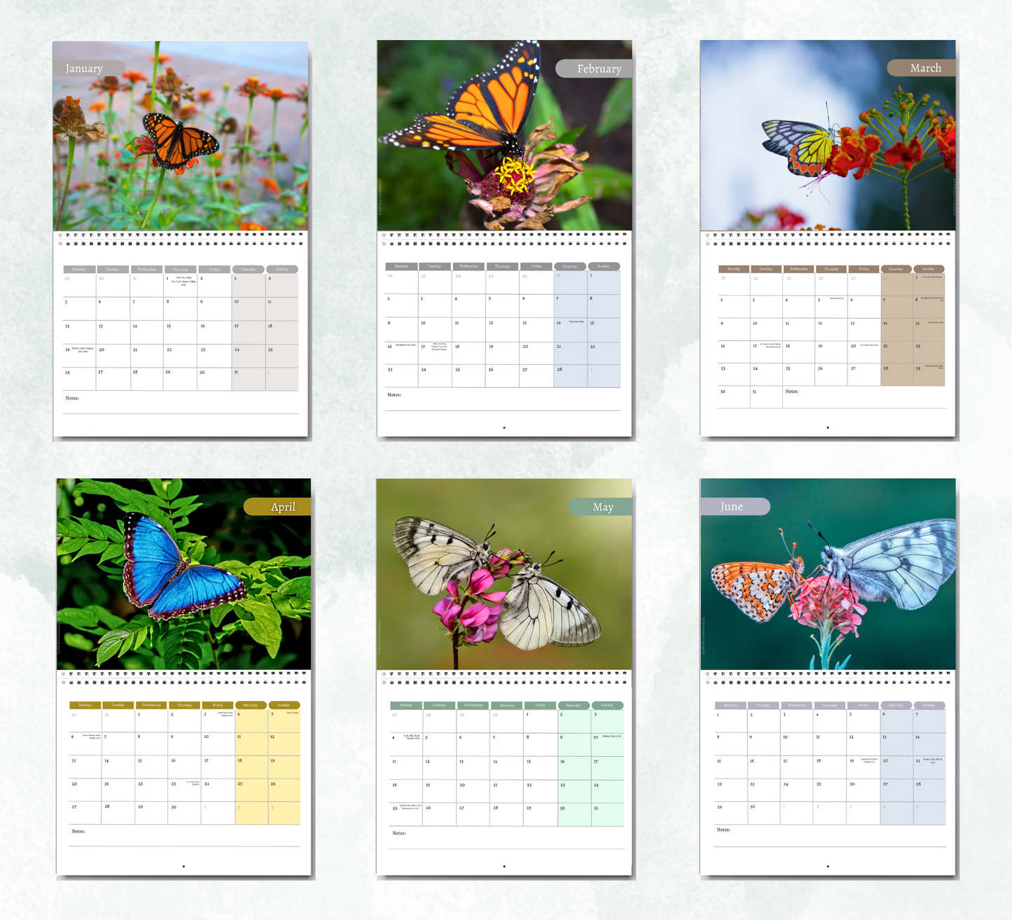 Butterfly Calendar 2027