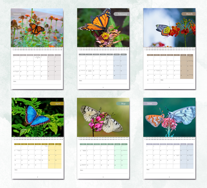 Butterfly Calendar 2027