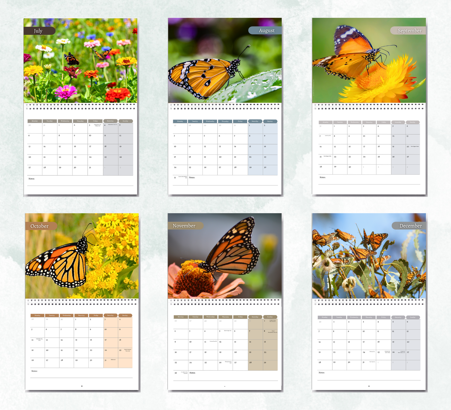Butterfly Calendar 2027