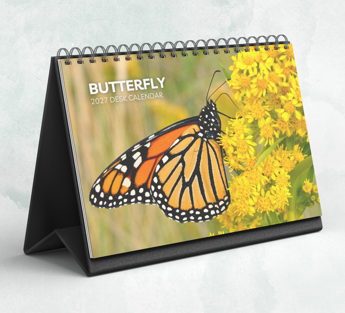 Butterfly Desk Calendar 2027-2028