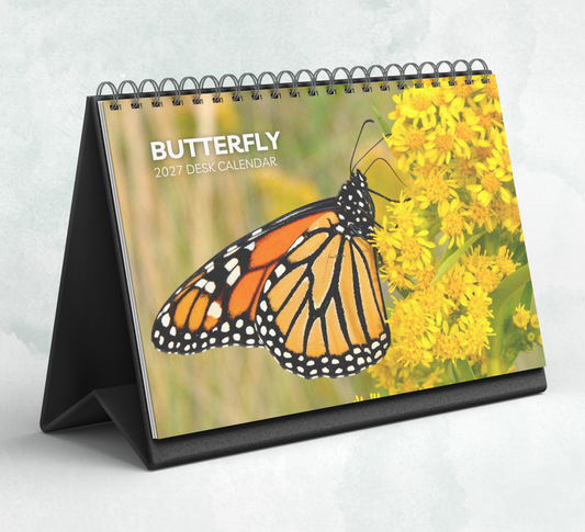 Butterfly Desk Calendar 2027-2028