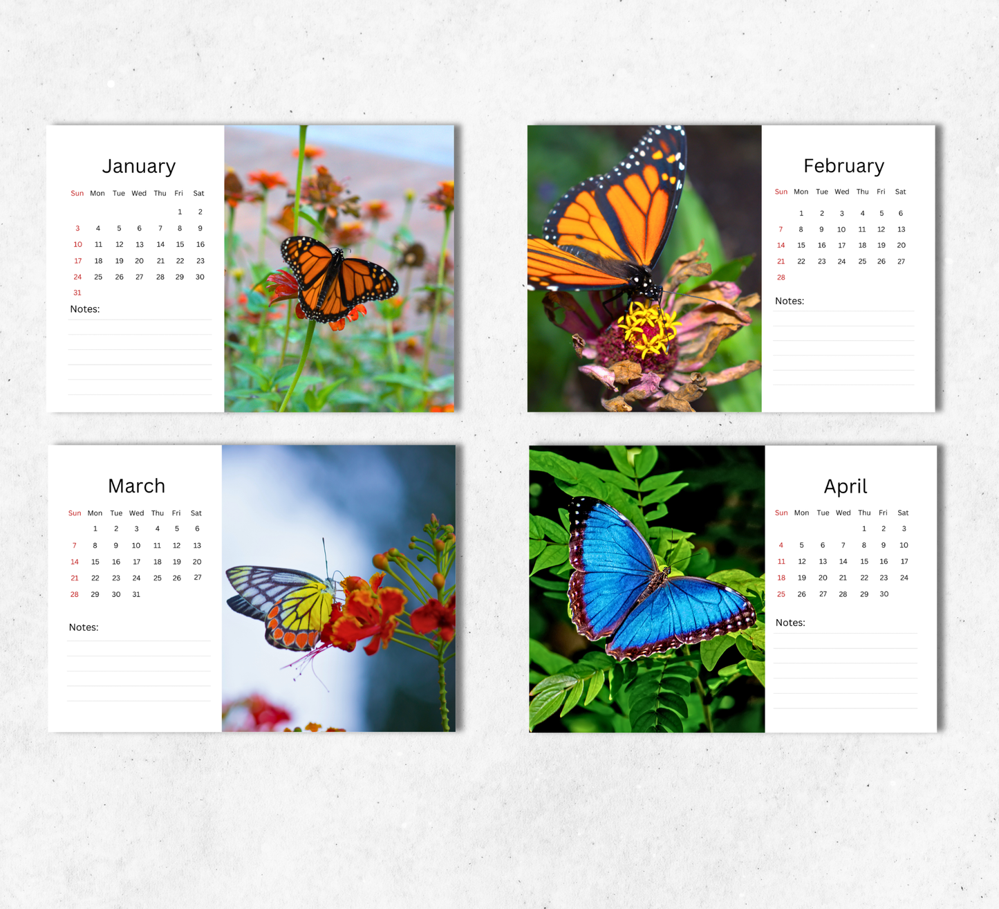 Butterfly Desk Calendar 2027-2028