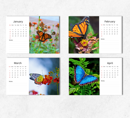 Butterfly Desk Calendar 2027-2028