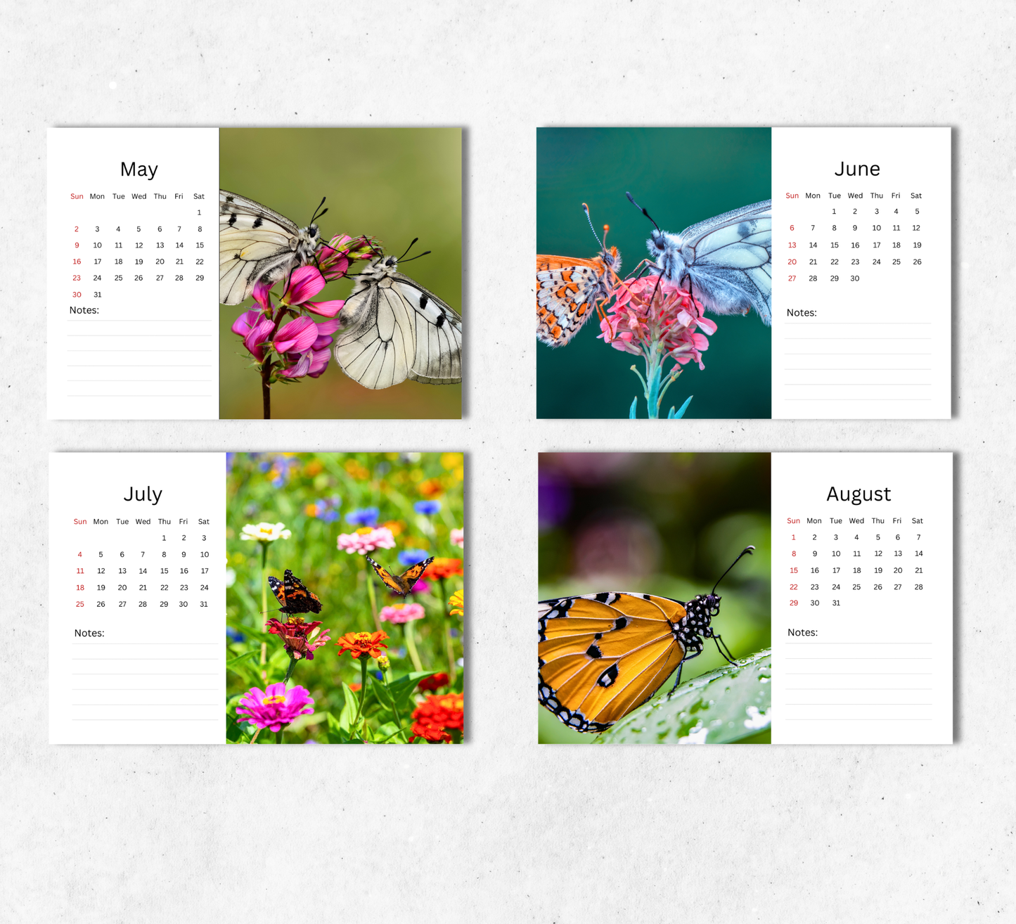 Butterfly Desk Calendar 2027-2028