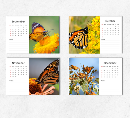 Butterfly Desk Calendar 2027-2028