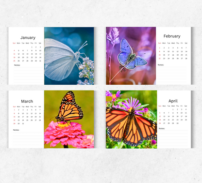 Butterfly Desk Calendar 2026-2027