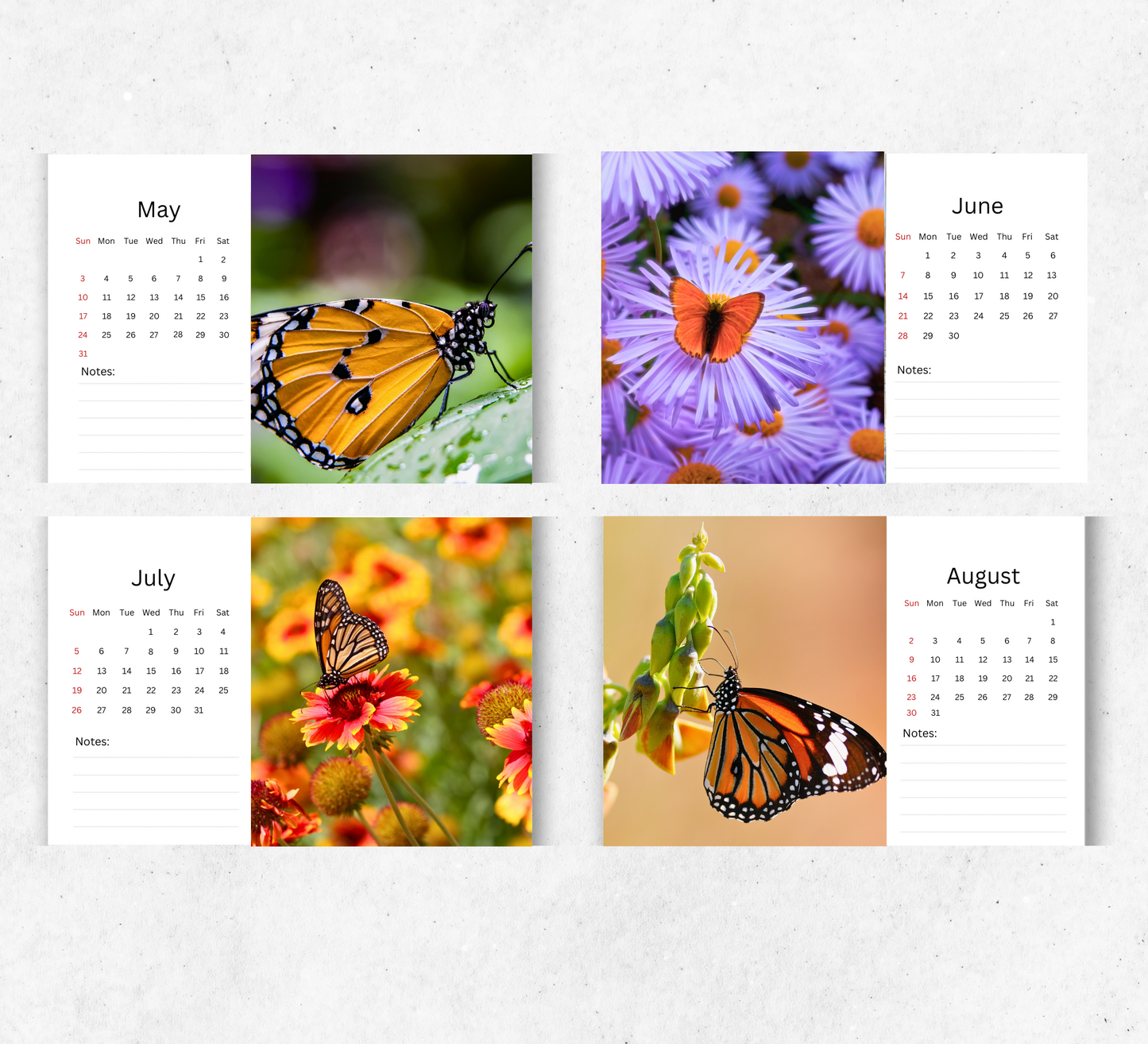 Butterfly Desk Calendar 2026-2027