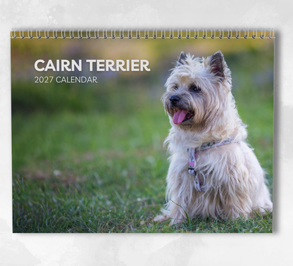 Cairn Terrier Calendar 2027