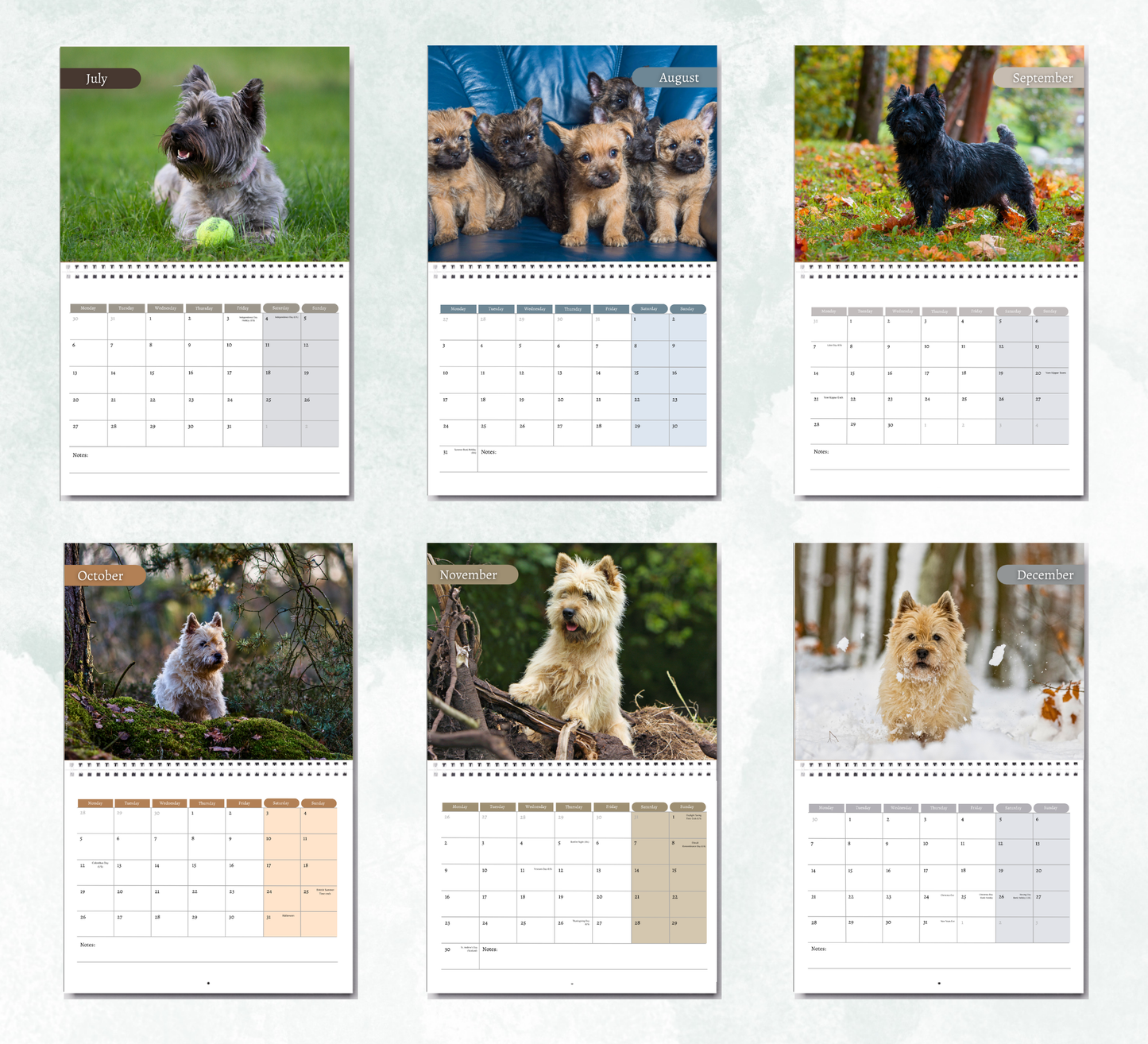 Cairn Terrier Calendar 2027