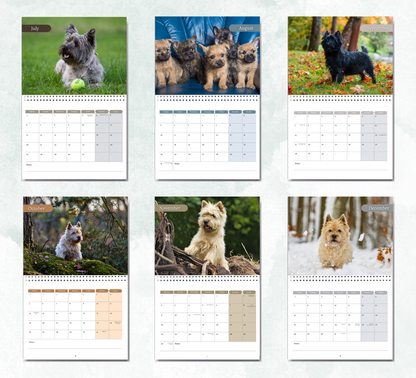 Cairn Terrier Calendar 2027