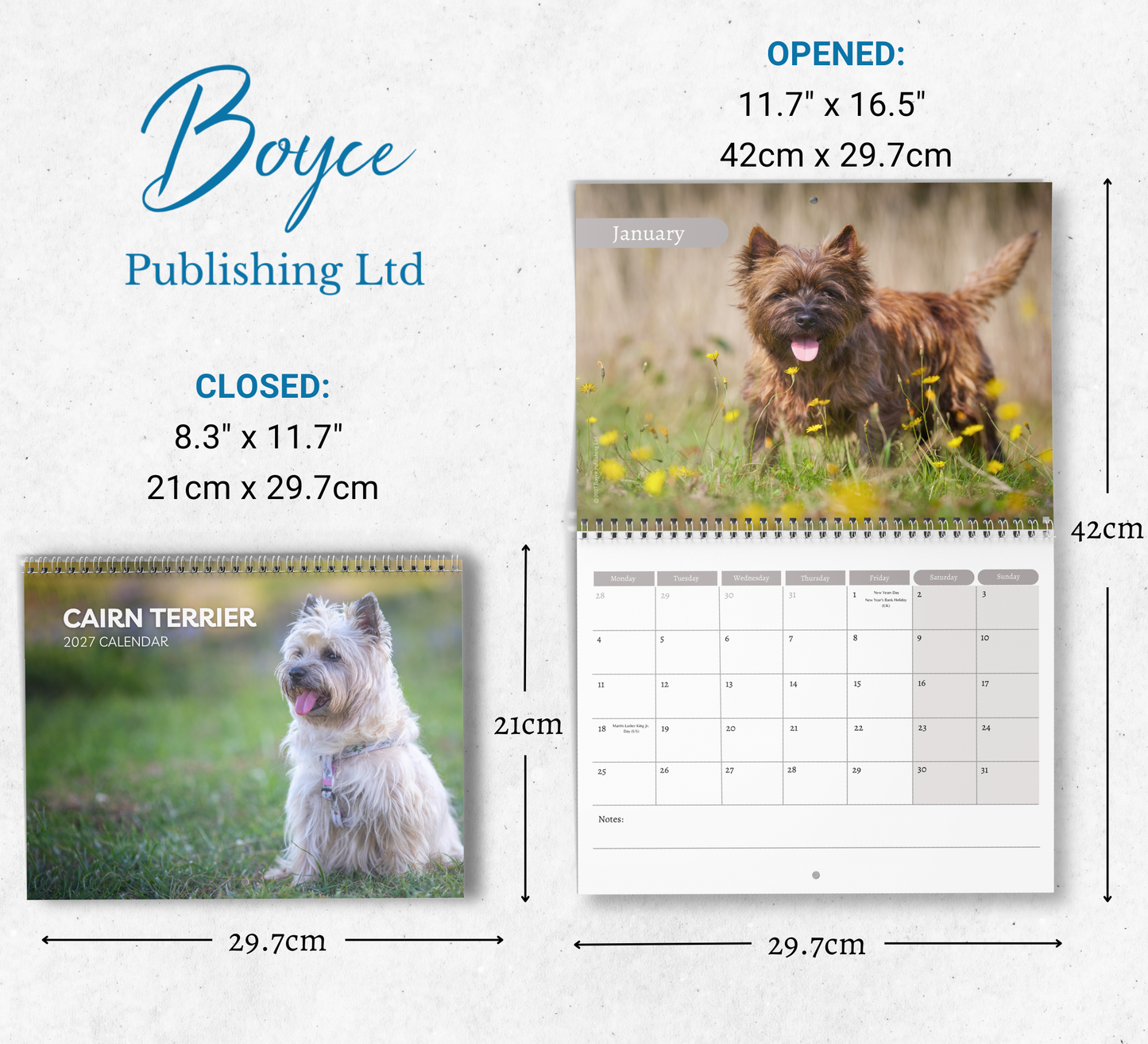 Cairn Terrier Calendar 2027