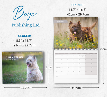 Cairn Terrier Calendar 2027
