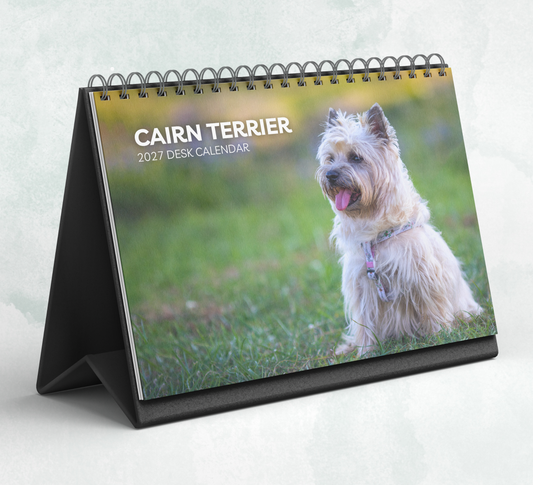 Cairn Terrier Desk Calendar 2027-2028