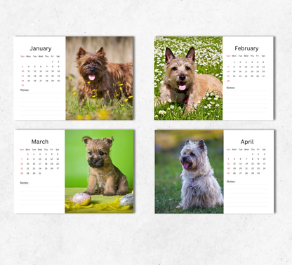Cairn Terrier Desk Calendar 2027-2028