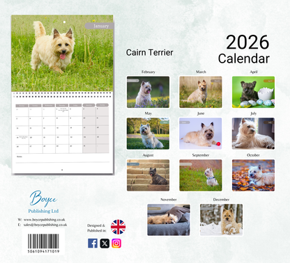 Cairn Terrier Calendar 2026