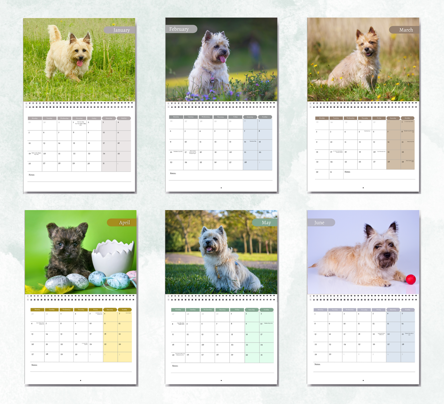 Cairn Terrier Calendar 2026