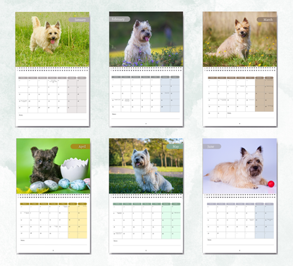 Cairn Terrier Calendar 2026