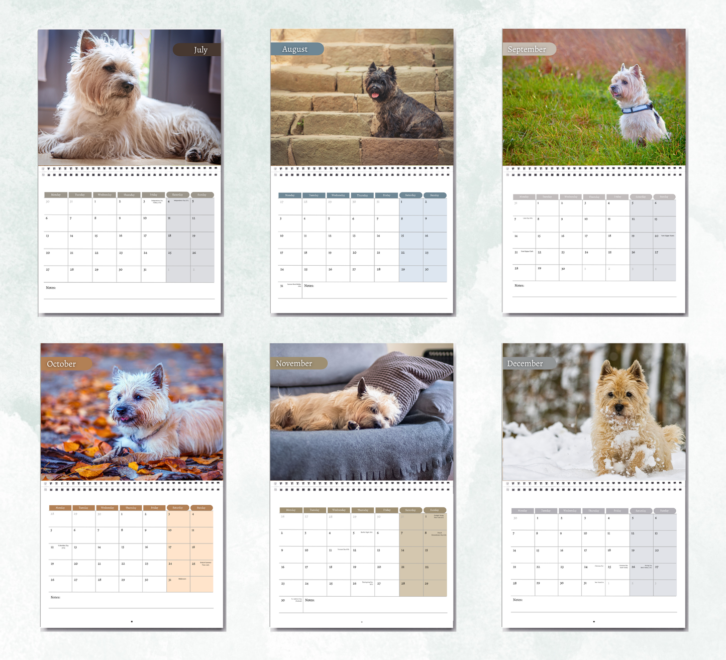 Cairn Terrier Calendar 2026