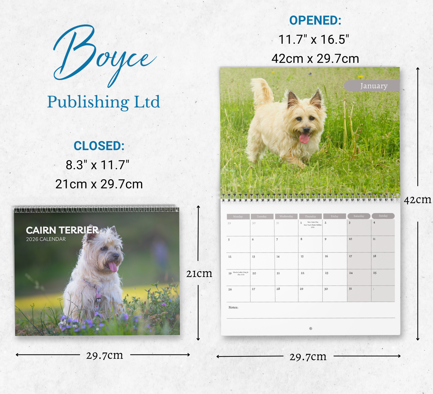 Cairn Terrier Calendar 2026