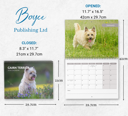 Cairn Terrier Calendar 2026