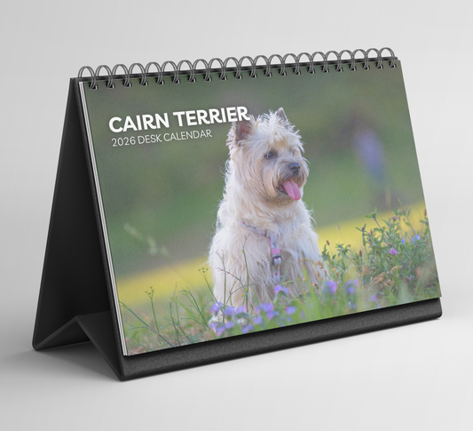 Cairn Terrier Desk Calendar 2026-2027