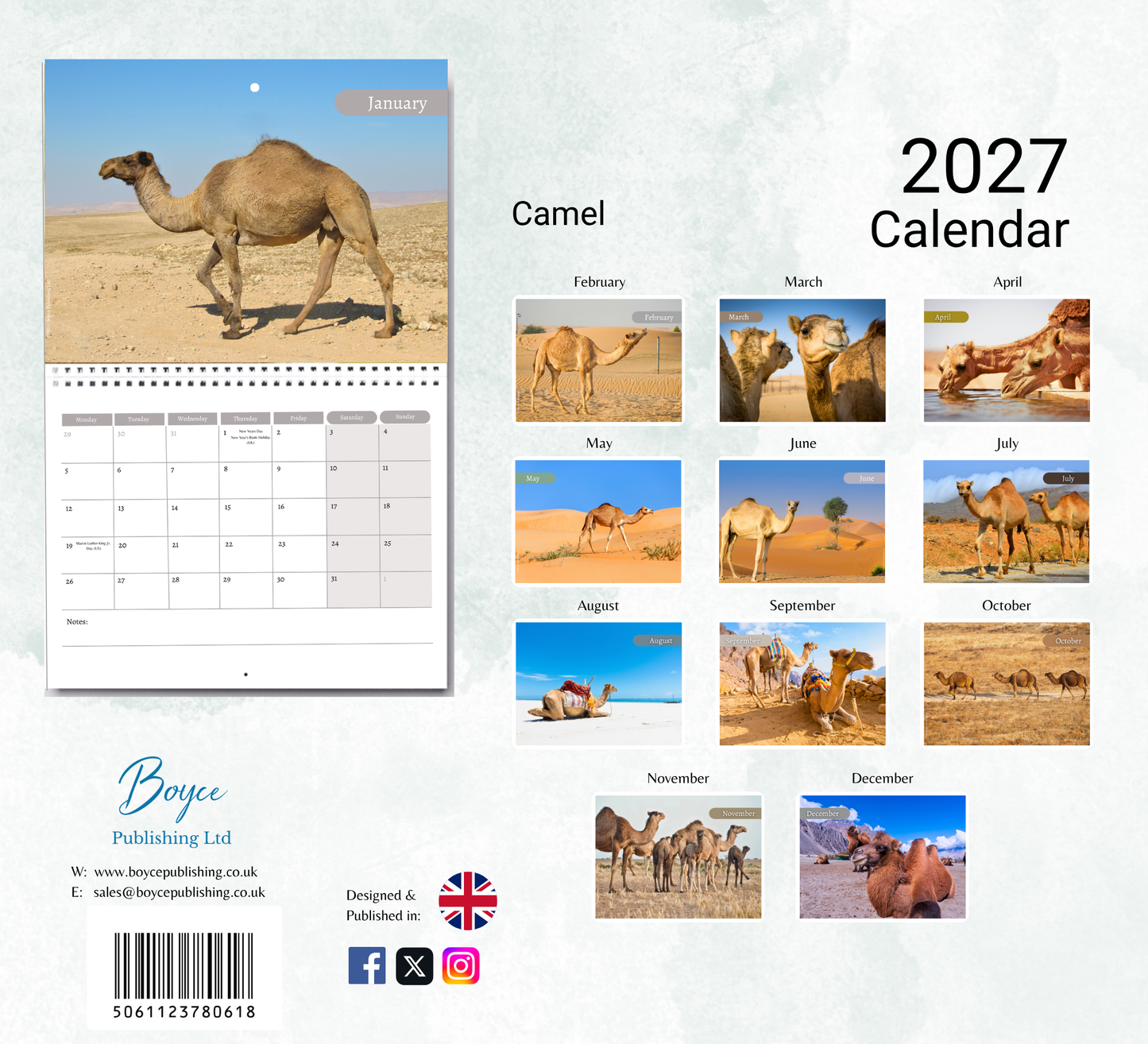 Camel Calendar 2027