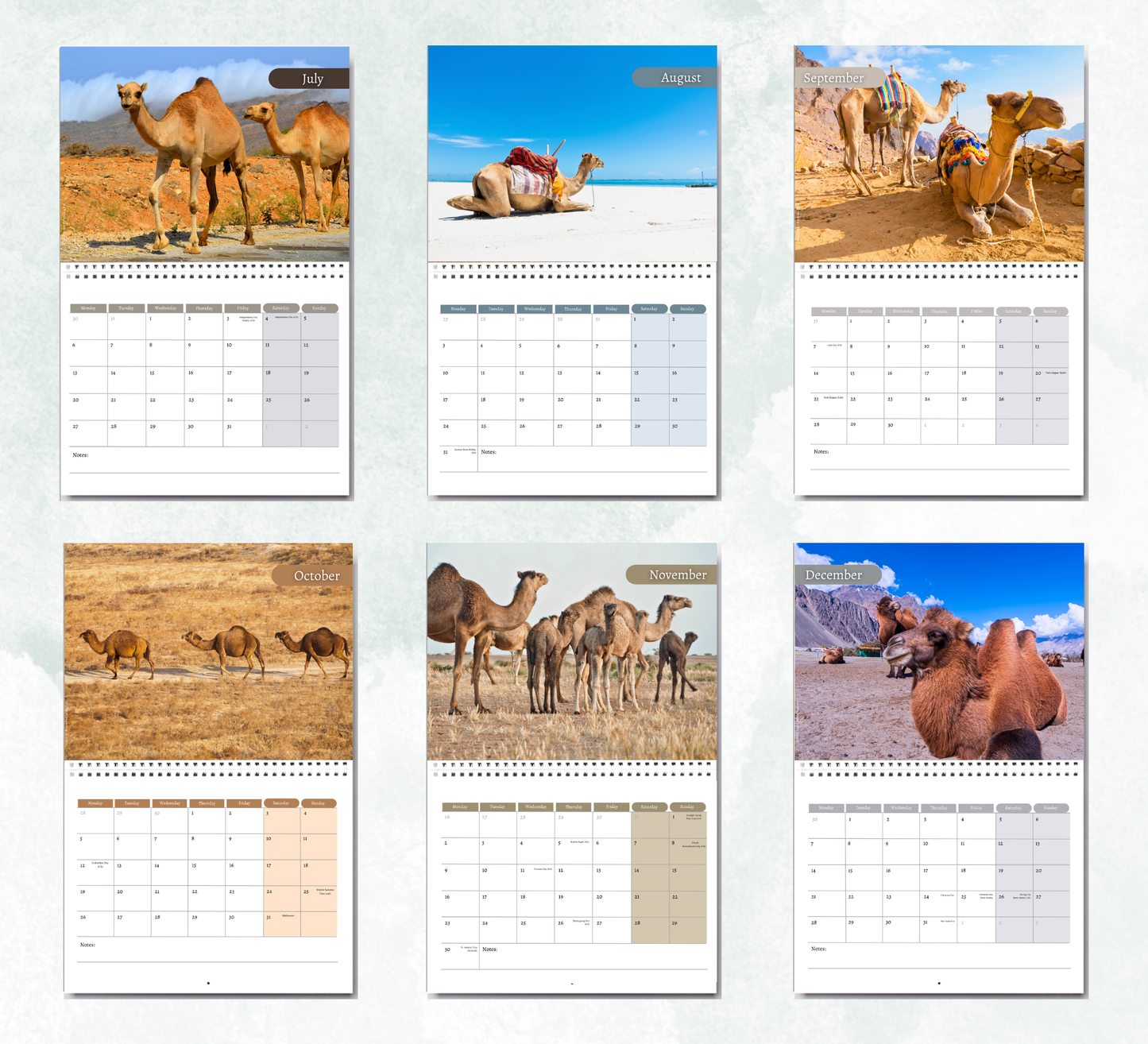 Camel Calendar 2027