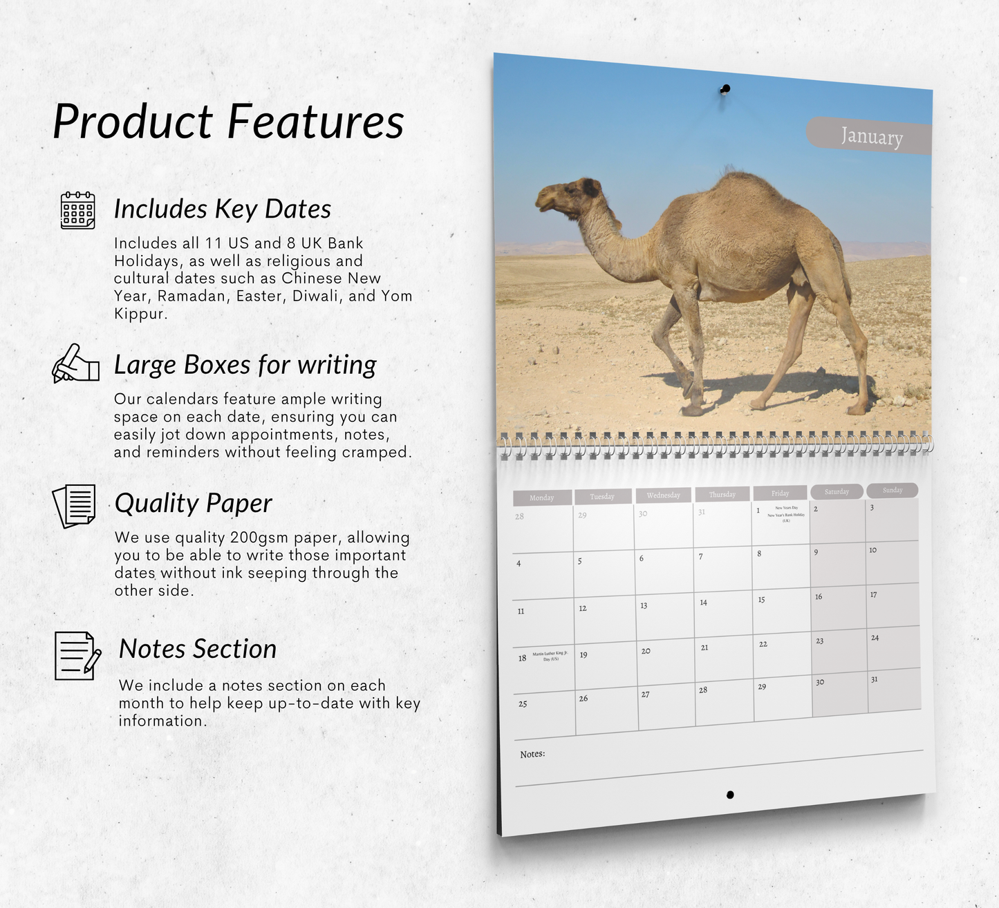 Camel Calendar 2027