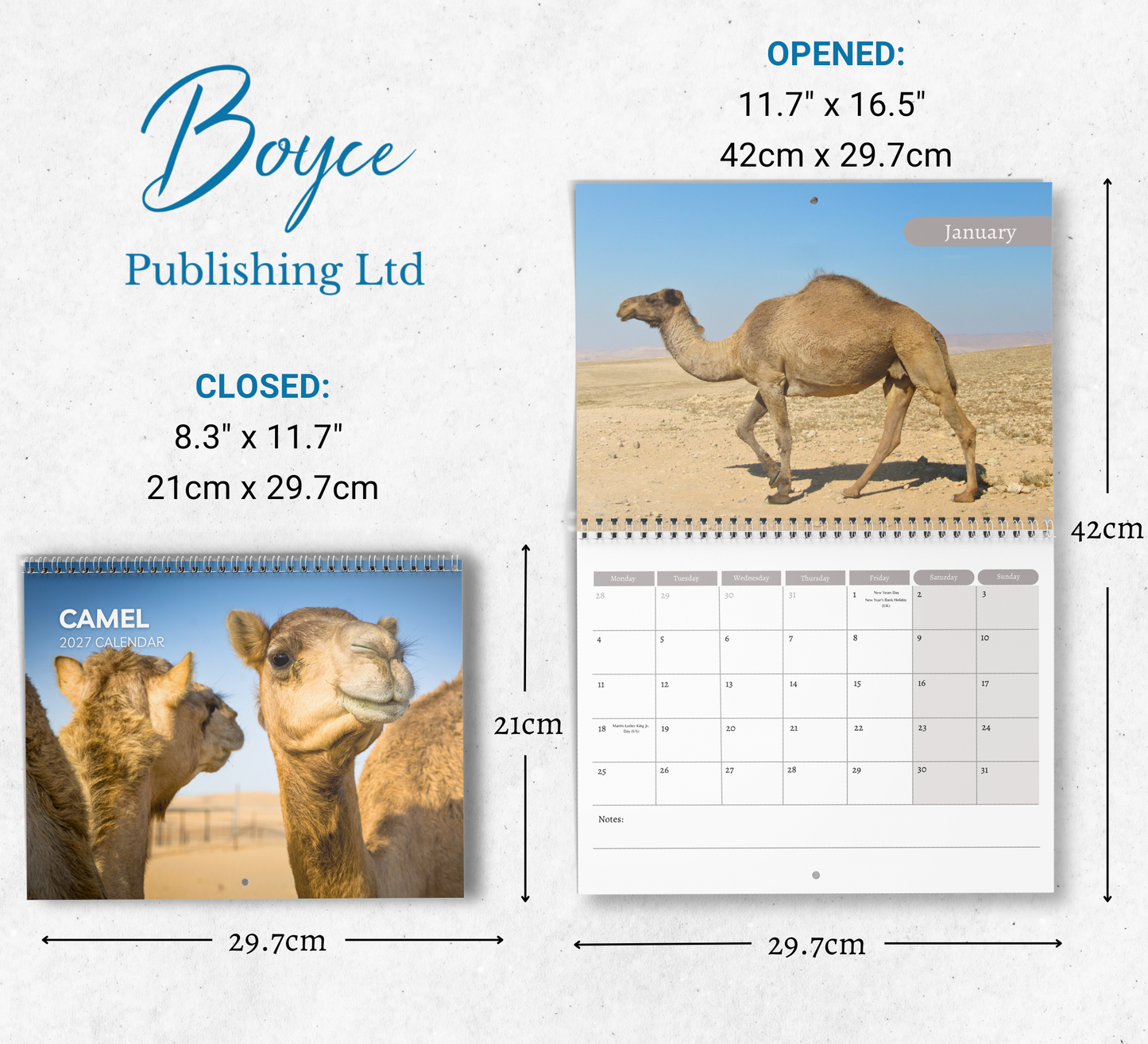 Camel Calendar 2027