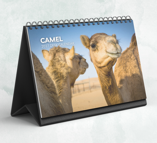 Camel Desk Calendar 2027-2028