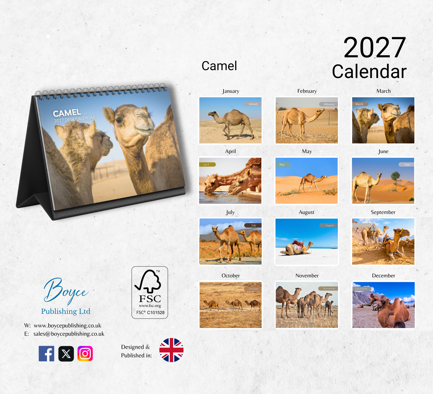 Camel Desk Calendar 2027-2028